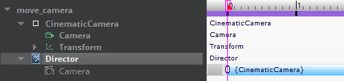 Add keyframes for the Director node in the Track View to manage your camera.